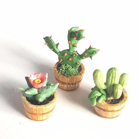 3 Piece Cactus set