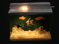 Fish Tank -Lights Up!