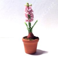 PINK POTTED HYACINTH -CLAY