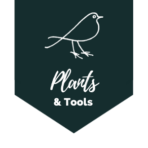 Plants & Tools