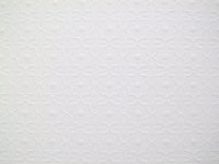 24th Scale Wallpaper embossed dado