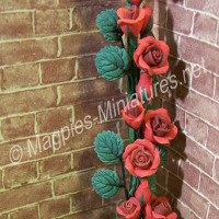 Red Climbing Roses