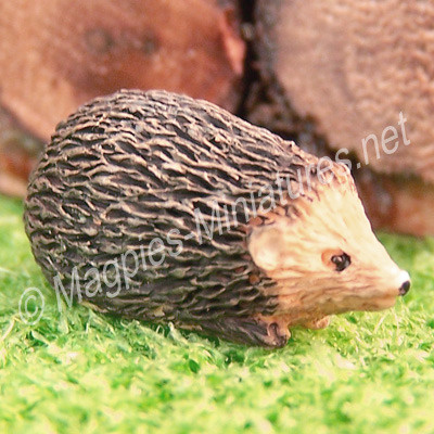 Hedgehog - Various poses
