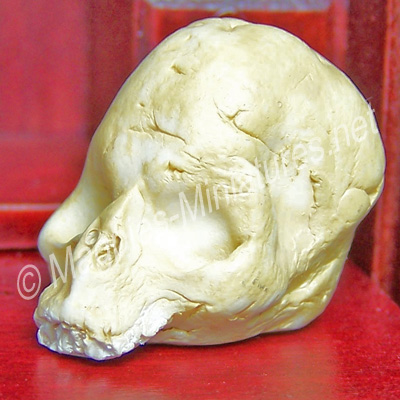 Skull in Aged Resin