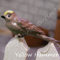 Garden Bird- Yellow Hammer