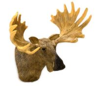 Wall Mount Moose Head Trophy