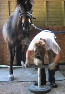 Duke with foot on stand 1