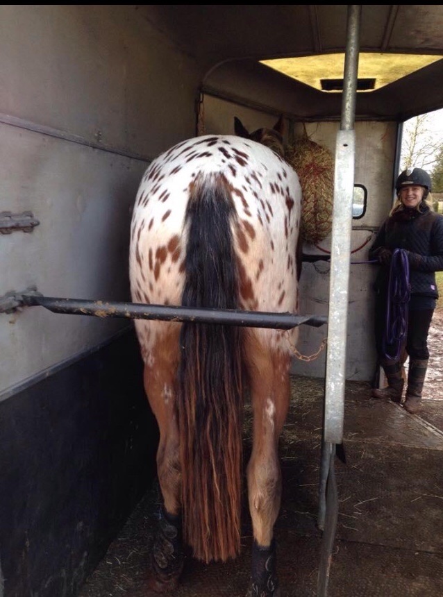 Sky practicing standing with the partition in place 