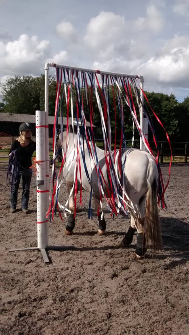 Max learning to be brave and to trust