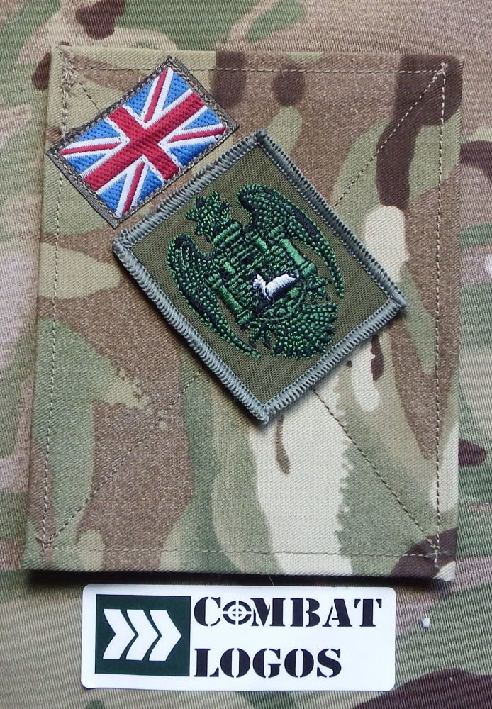 Beds & Herts ACF Tactical TRF Badges