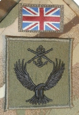 atc cadet badges