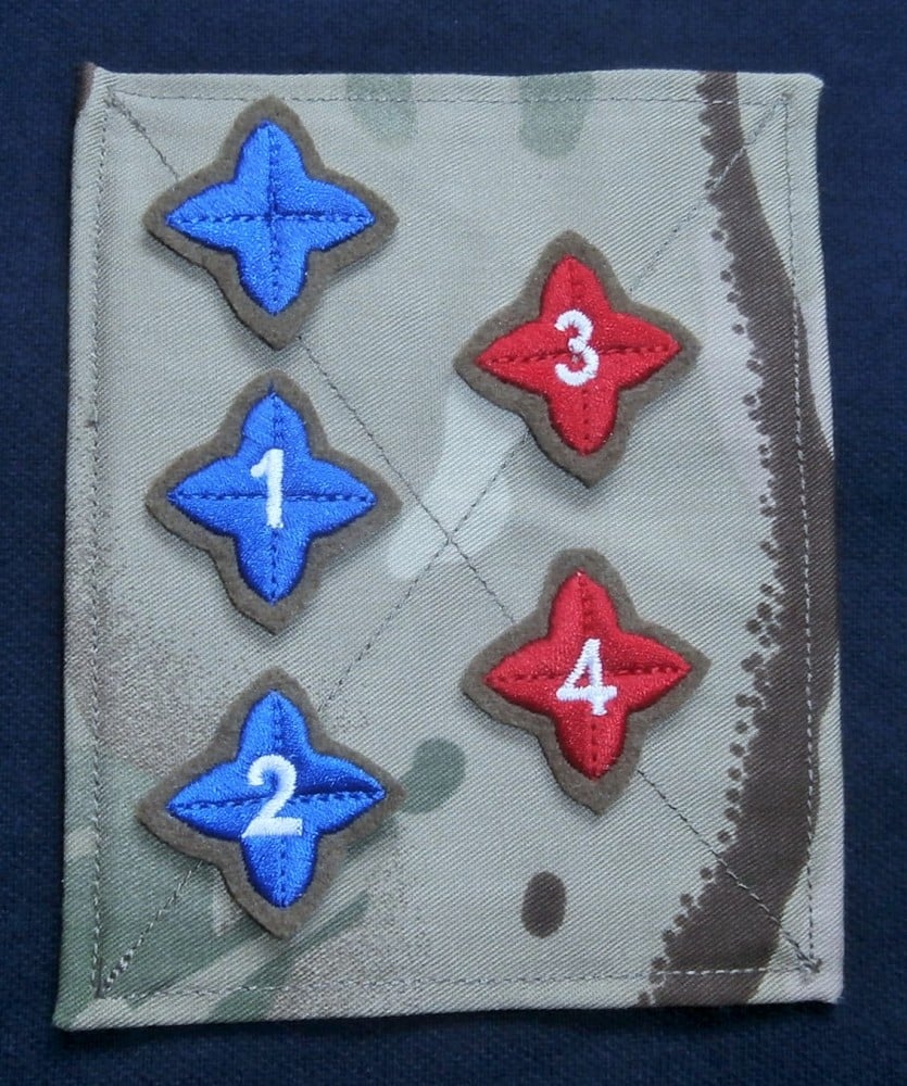 ACF/CCF APC Qualification Badges