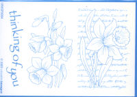 Elusive Images Daffodil Script Unmounted Rubber Stamp Set
