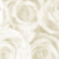 Patterned Paper - Roses
