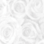 Patterned Vellum - Roses (large) - Silver