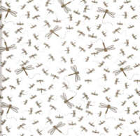 Vellum - Dragonflies White