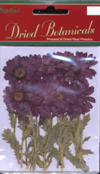 Dried Flowers - Purple