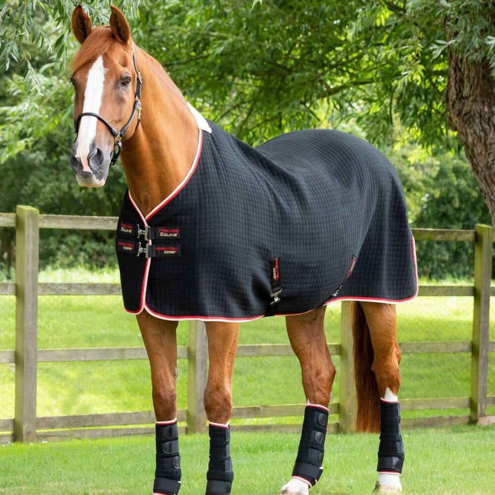Premier Equine PremTex Cooler Rug