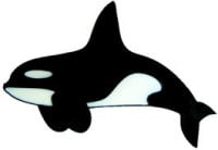 725 - Orca Whale - Handmade peelable static window cling decoration
