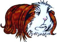 841 - Long Haired Guinea Pig handmade peelable window cling decoration