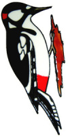 834 - Woodpecker handmade peelable window cling decoration