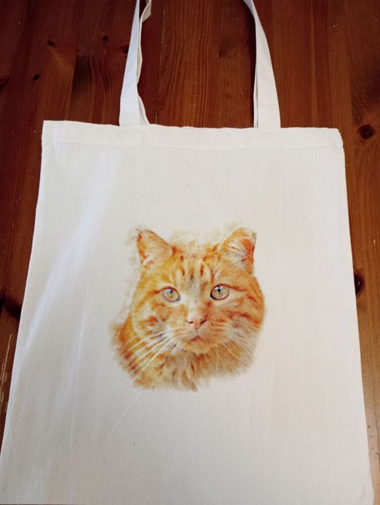 Ref: 1379-134 : Ginger Cat Tote Bag