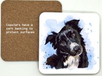 1314-64 Border Collie Dog Coasters (95mm square)