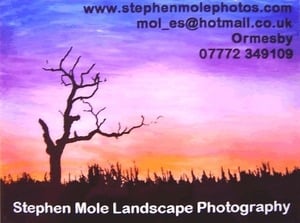 Stephen Mole Car Advert