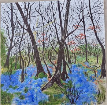 Stockley, Janet bluebells