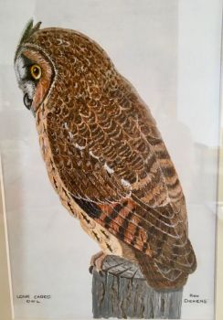 RA Dickens, Ron Long-eared owl