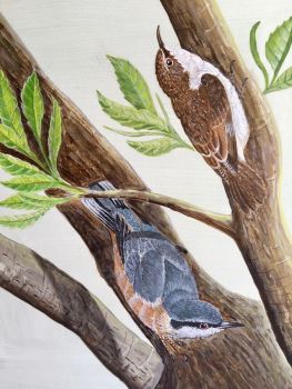 RA Dickens, Ron Nuthatch and Treecreeper