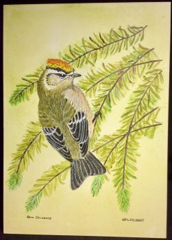 RA2 Dickens, Ron Goldcrest (acrylic)