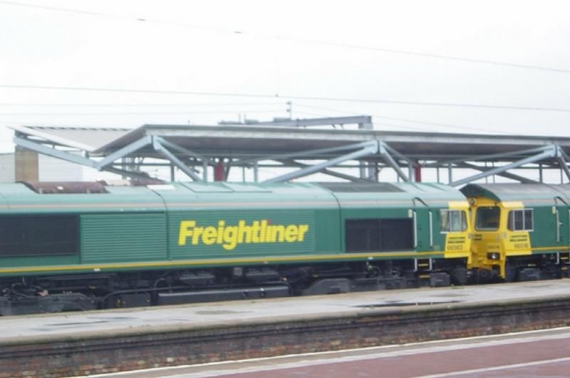 Image showing Freightliner Class 66 locomotives