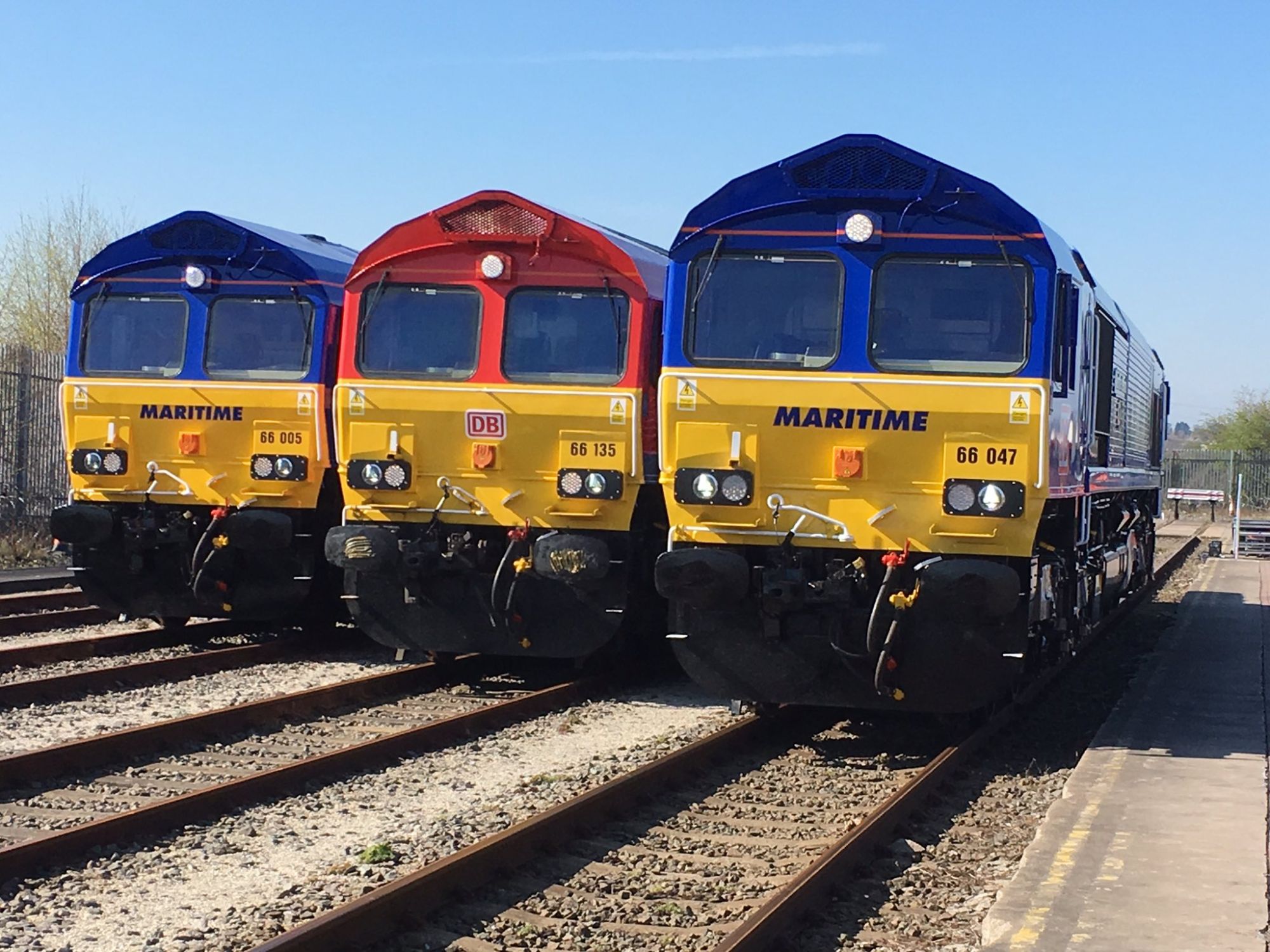 Image showing Class 66 locomotives in new Maritime Intermodal livery