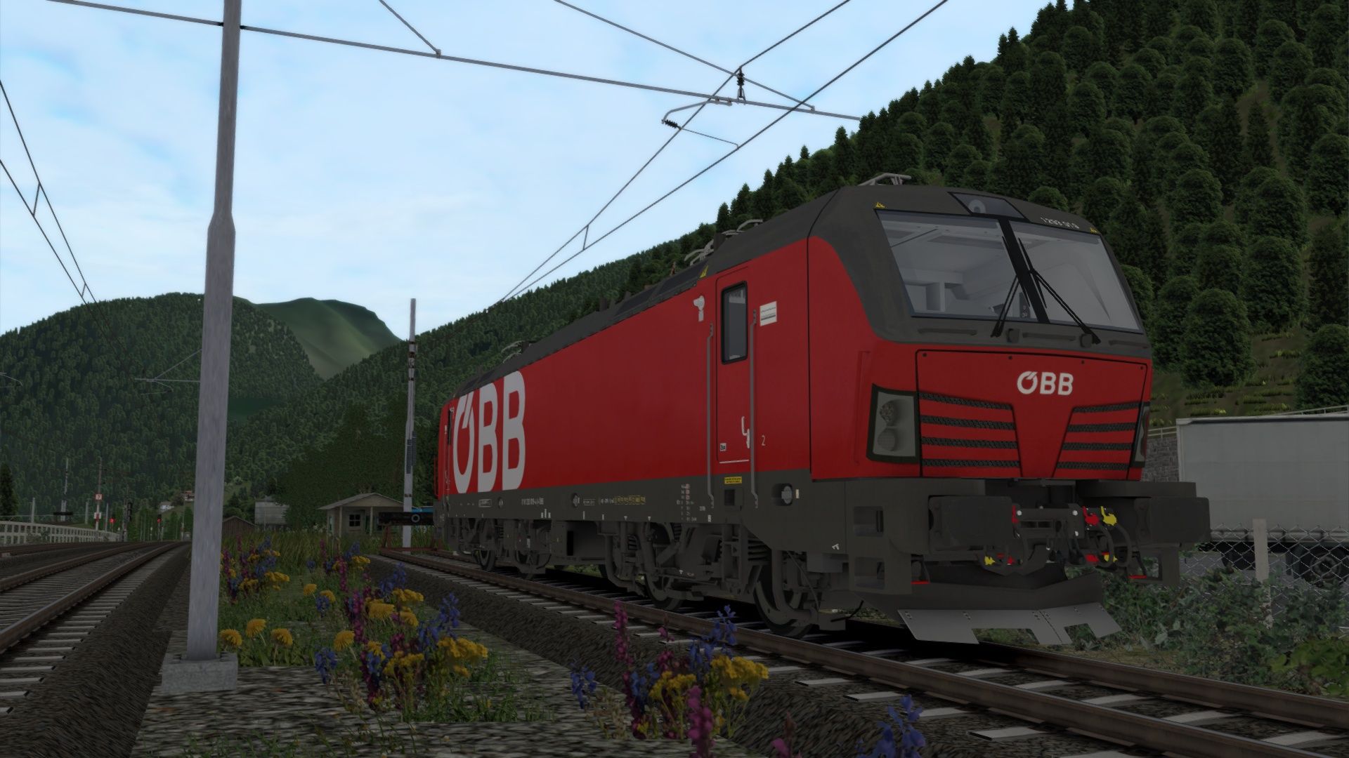 OBB12935