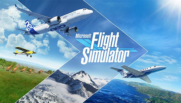 Clickable image taking you to the Microsoft Flight Simulator directory at DPSimulation