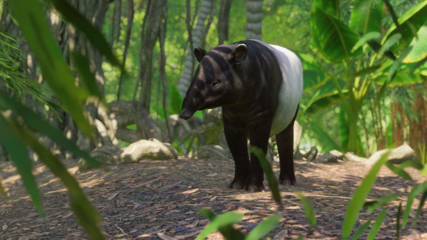 Planet Zoo: Southeast Asia Animal Pack | Buy Now | DPSimulation