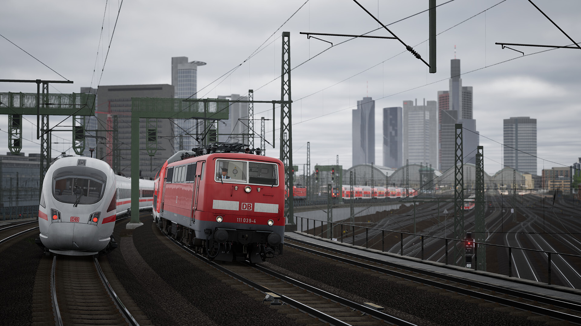 BR111_1.jpg