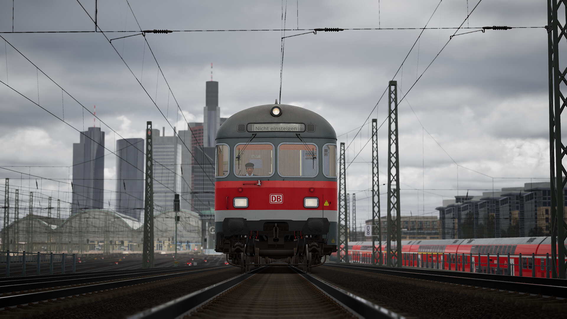 BR111_5.jpg