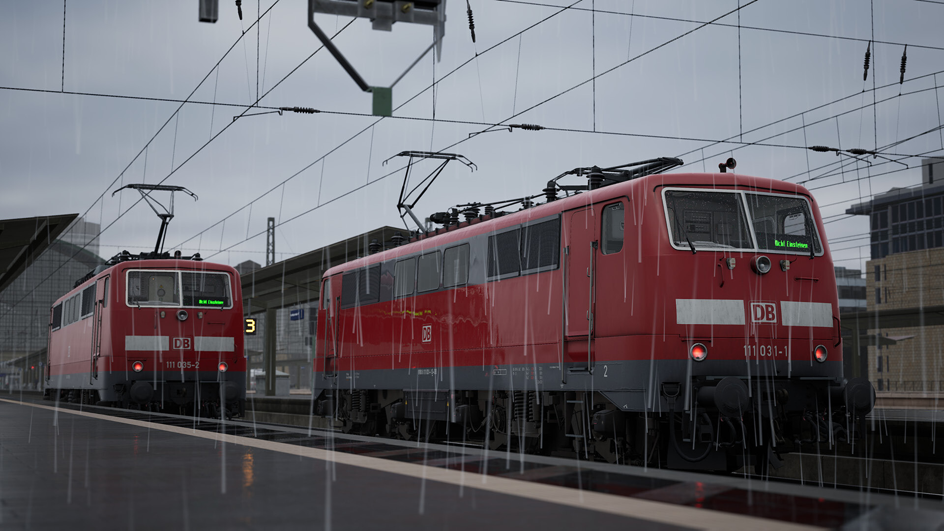 BR111_4.jpg