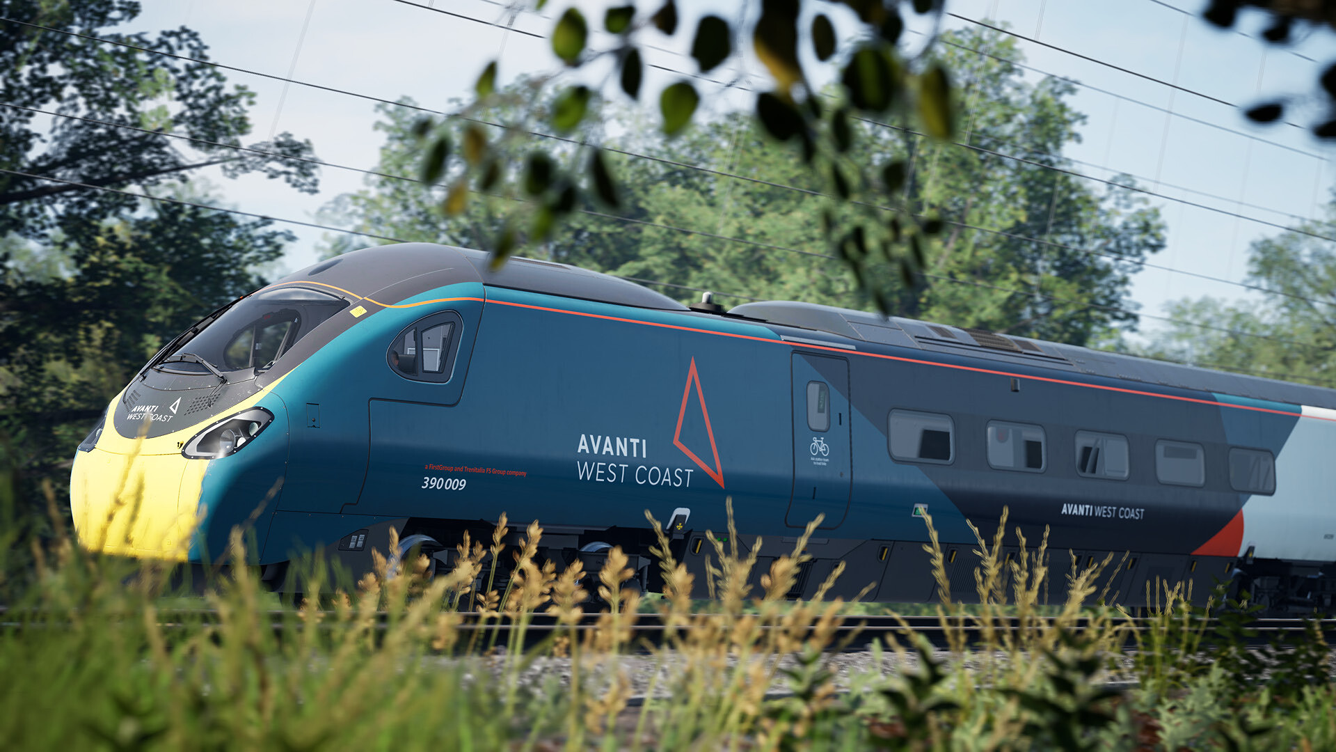 TSW390_1.jpg