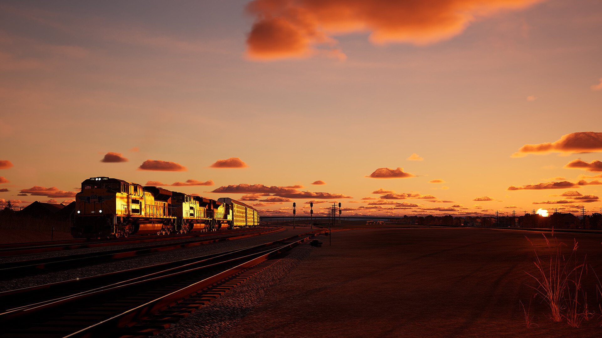 TSW_ShermanHill_3.jpg