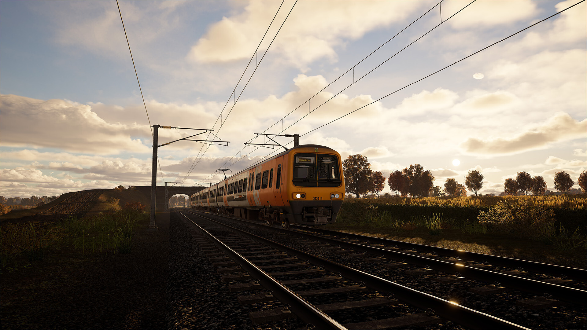 TSWCrossCity_4.jpg