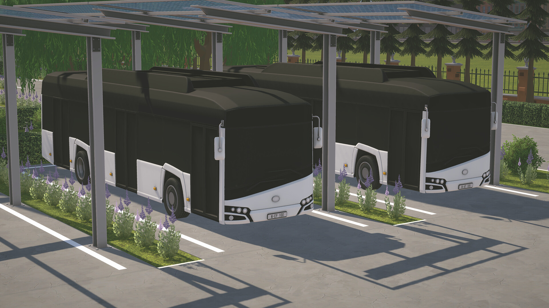 CityBus_IntlBus_2.jpg