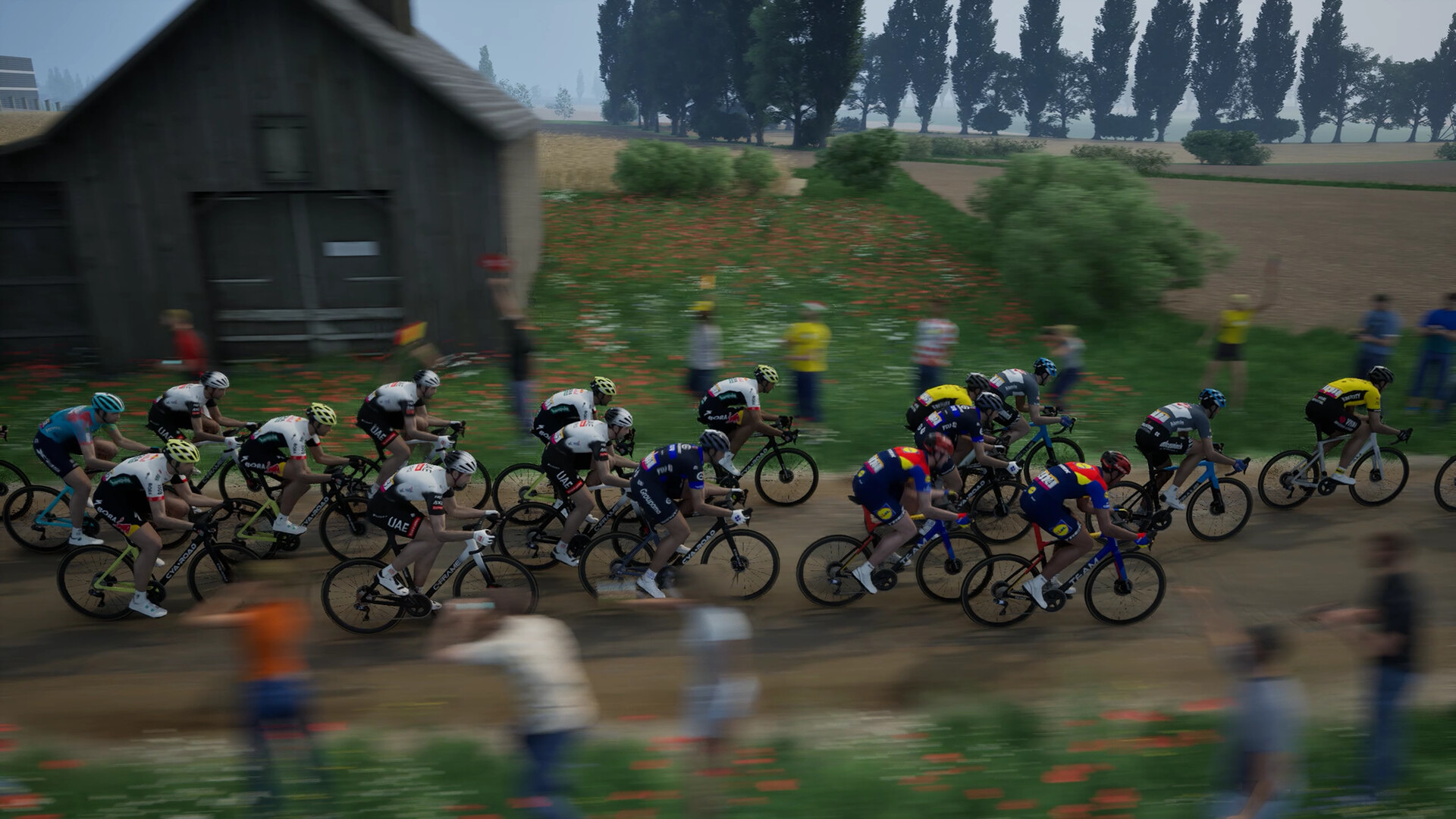 TDF2025_6.jpg