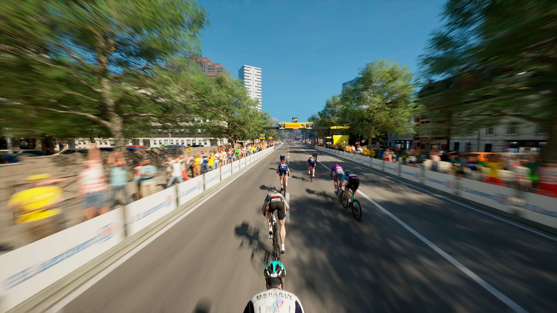 TDF2025_4.jpg