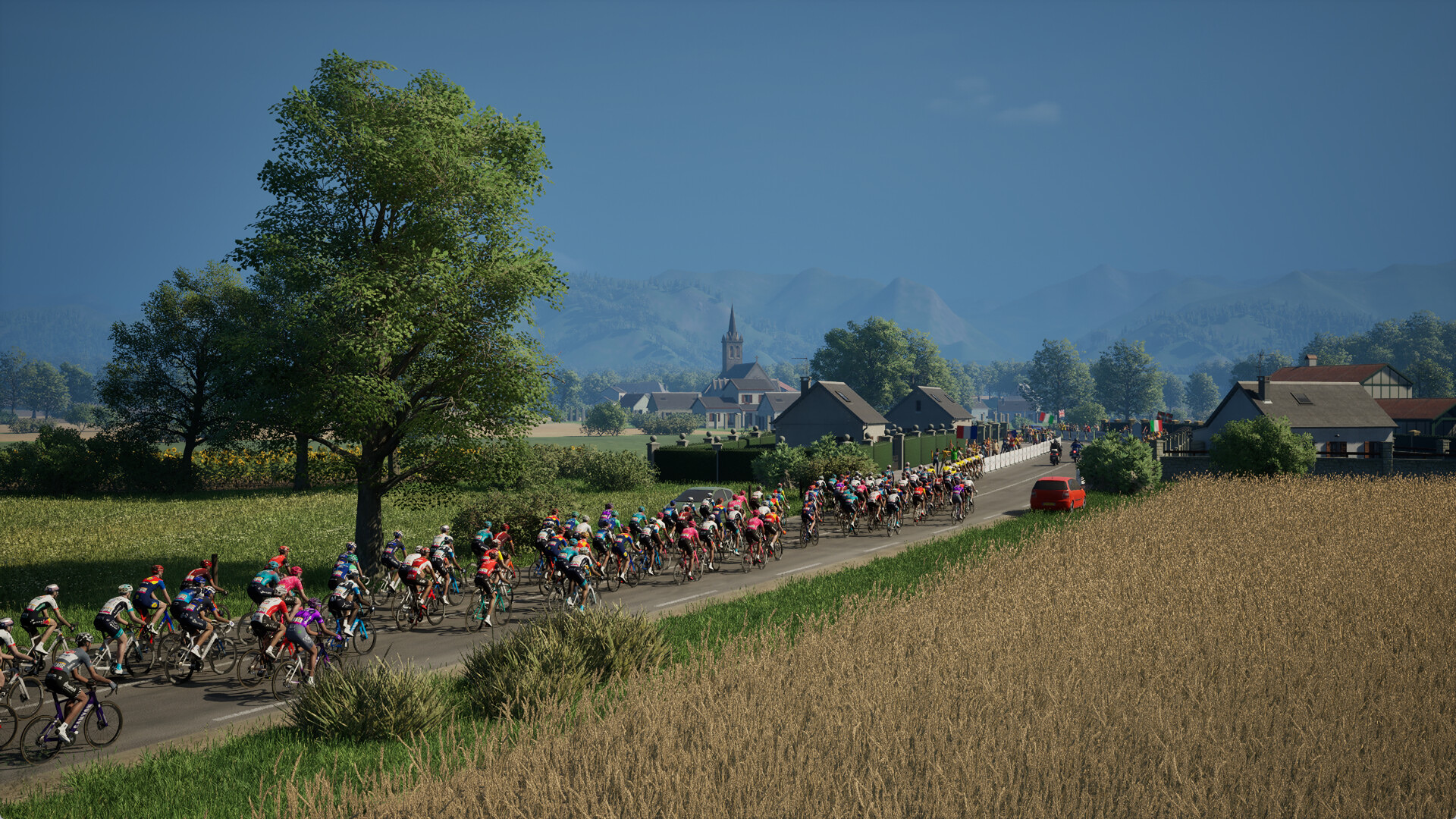 ProCycling2025_2.jpg