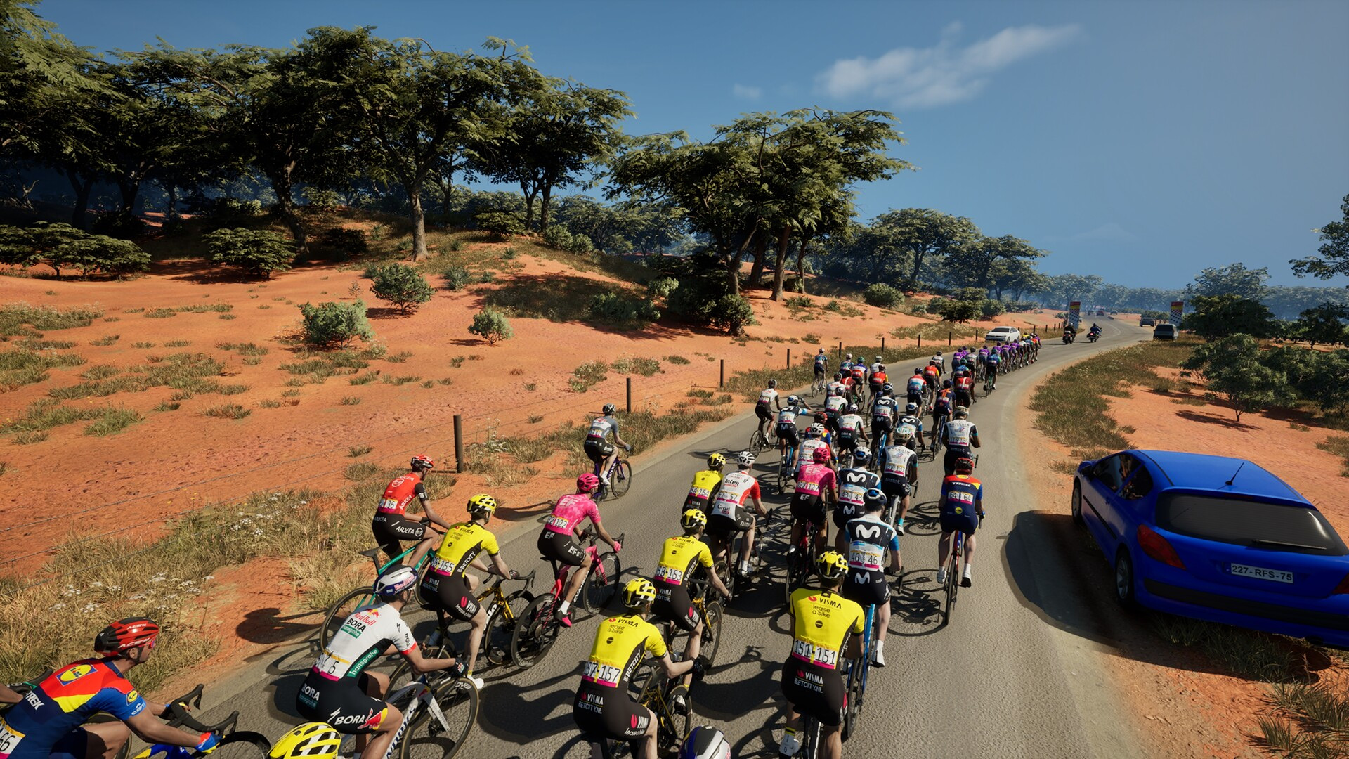 ProCycling2025_6.jpg