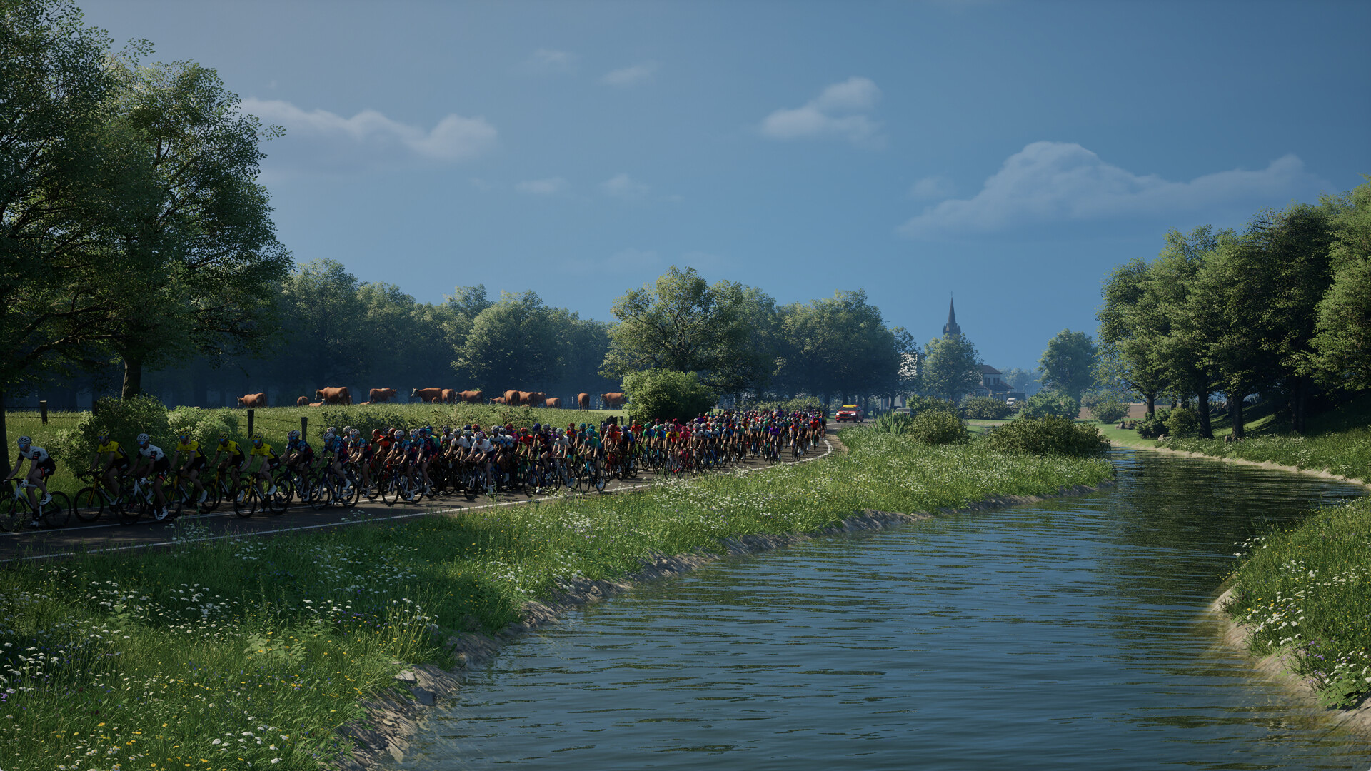 ProCycling2025_3.jpg