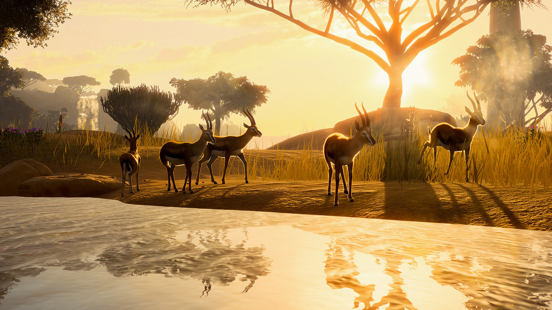 PlanetZoo_Deluxe_3.jpg